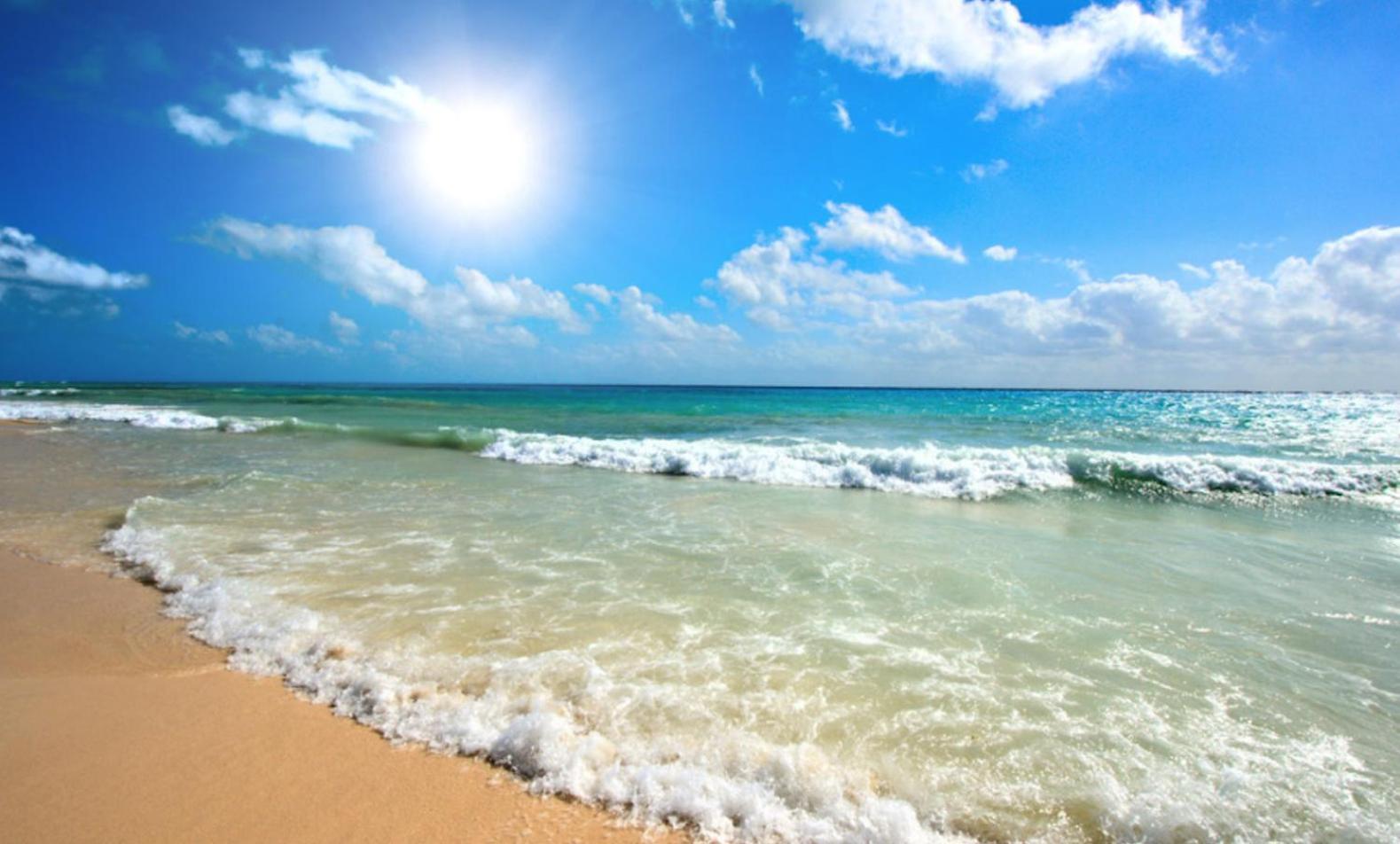Chateau Del Mar C31A Studio Sunny Beach Buitenkant foto